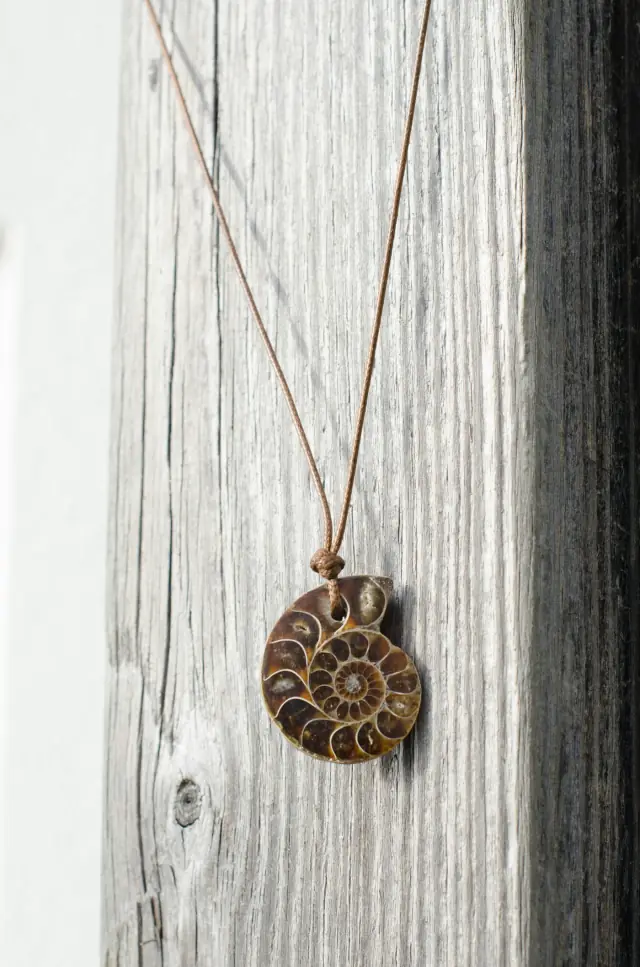 Un collier à pendentif coquillage posé sur du bois clair